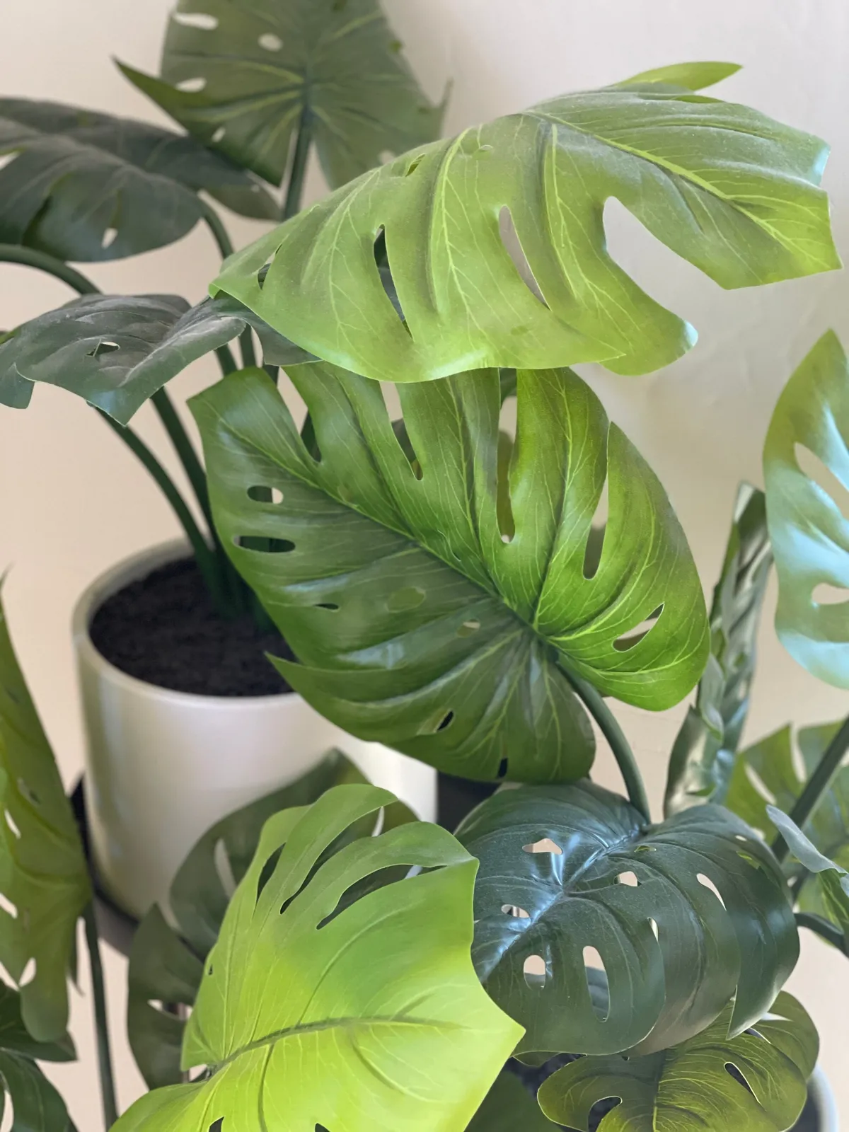 A stylish planter with lush green leaves brings a touch of nature indoors, emphasizing thoughtful details that contribute to a calming, cared-for environment.